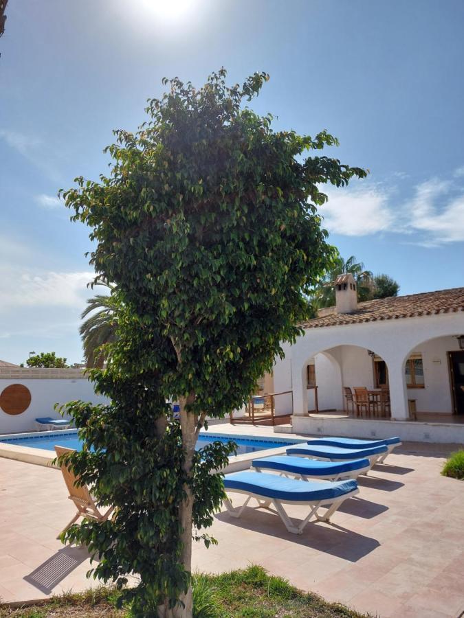 Zenia Hostel Playa Flamenca Exterior foto